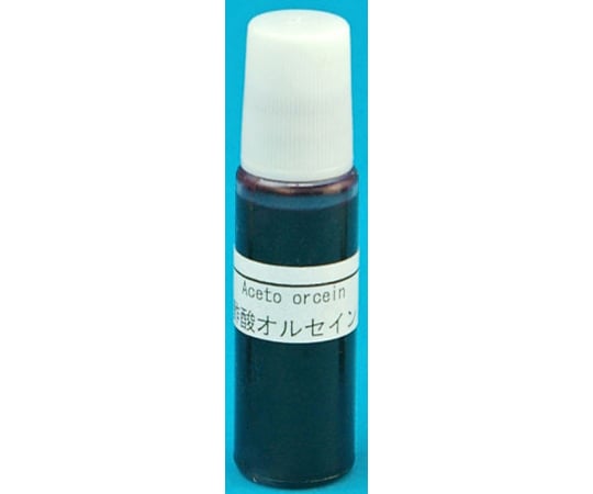 64 9141 80 すぐ使える染色液 酢酸オルセイン 10ml G40 5712 01 Axel アズワン 64 9141 80 すぐ使える染色液 酢酸オルセイン 10ml G40 5712 01 Axel アズワン