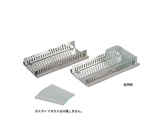 模型・標本の通販 【AXEL】 アズワン