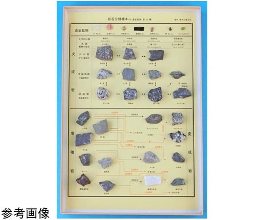 取扱を終了した商品です］岩石分類標本 L55-2170 64-9145-92 【AXEL】 アズワン