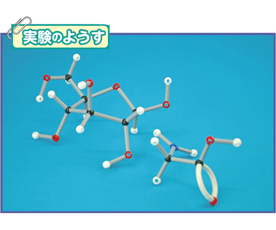 64-9150-94 分子構造模型（生化学セット） M60-1208 【AXEL】 アズワン