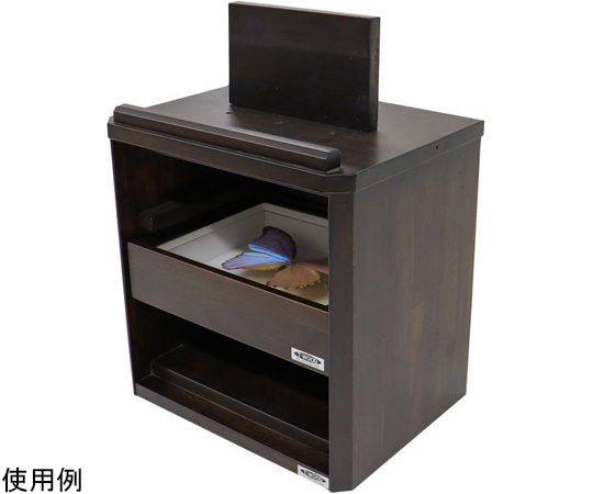 標本棚（ドイツ箱収納棚）　ワンオーナー品 標本棚（ドイツ箱収納棚） ワンオーナー品 臨む