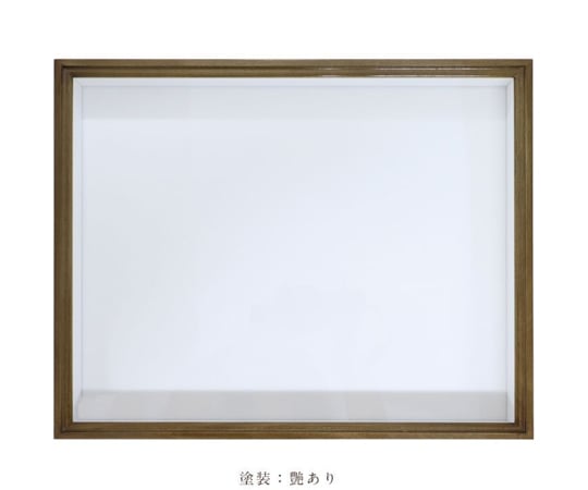ほお材 N型 ドイツ箱(標本箱) 艶有 普通ガラス 260