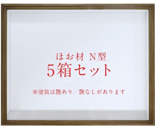 ほお材 N型 ドイツ箱（標本箱） 塗装艶消 普通ガラス 5箱セット 255F