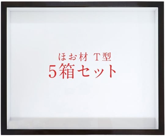 64-9340-92 ほお材 T型 ドイツ箱 5箱セット UVガラス 460 【AXEL