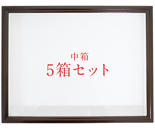 中箱　ドイツ箱　5箱セット　普通ガラス