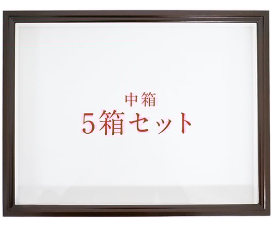 中箱　ドイツ箱　5箱セット　UVガラス