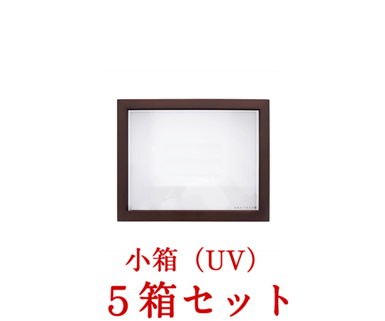 小箱　1/4　UVガラス　ドイツ箱　5箱セット