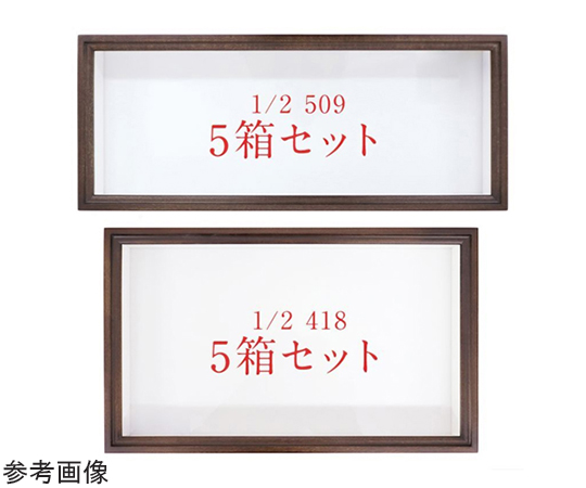 N型　ドイツ箱　5箱セット　UVガラス