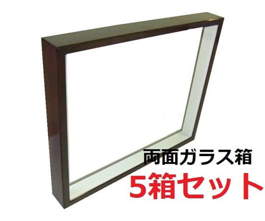 両面ガラス　ドイツ箱　UVガラス　5箱セット