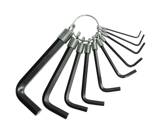 EGアレンレンチ　ミリ　10P