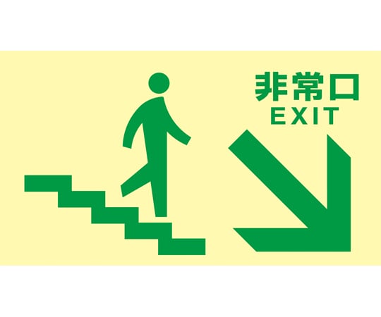 高輝度蓄光避難誘導標識　非常口（階段右下）　TKN109　130×230　東京都条例適合品