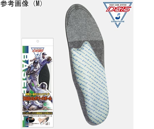 DSISソルボベースボール　L