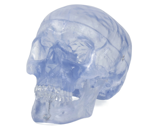 頭蓋 透明モデル （3B Smart Anatomy） A20/T