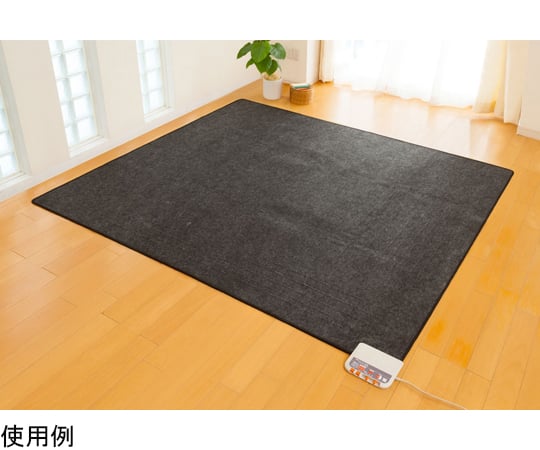 電気ホットカーペット3畳用　本体のみ　ZCB-30P