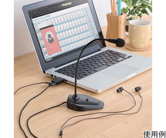 65-0310-24 USBオーディオ変換アダプタ ブラック USB-AADC01BK 【AXEL