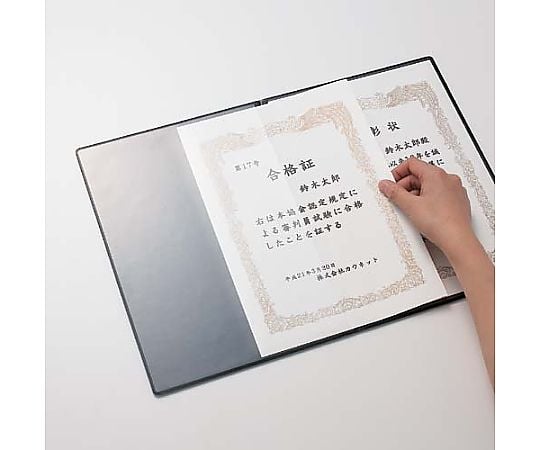 韓奉浩　薔薇　真作　保証書付 kip-enb002b.jpg