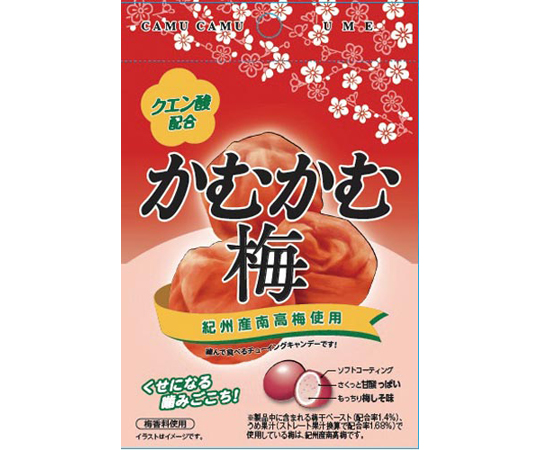 かむかむ梅　30g　10個　421149 - 通販ならアズキッチン