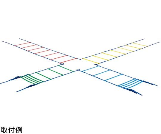 カラースピードラダー