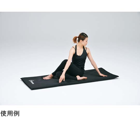 取扱を終了した商品です］屋内外兼用エクササイズマット H7244 65-0540