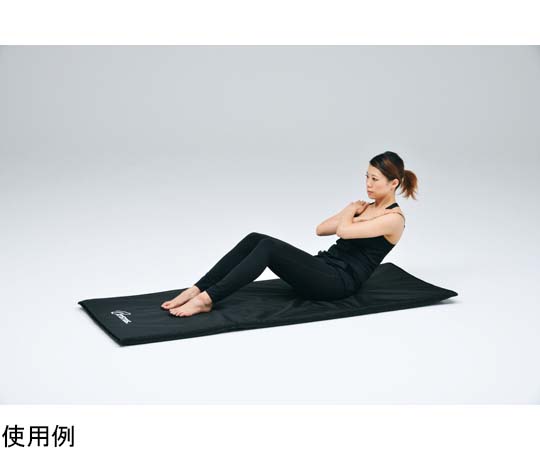 取扱を終了した商品です］屋内外兼用エクササイズマット H7244 65-0540