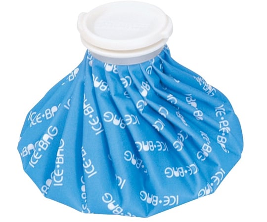 ハンディー氷のう　1000