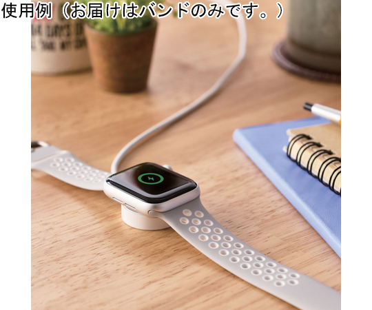 Discontinued Apple Watch 41 40 38 mm Band Silicon Active Type Gray x White AW 40BDSCNGY 65 0586 31 AXEL GLOBAL ASONE