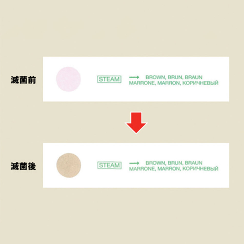 65-0595-41 紙製滅菌バッグ(ヒートシール式） 500枚入 PB4 【AXEL