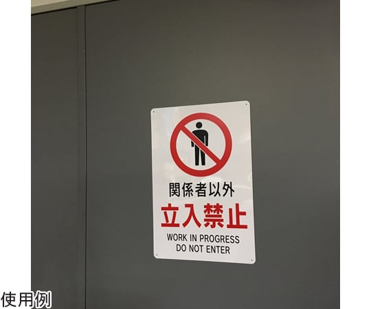 65-1338-54 立入禁止標識 『関係者以外立入禁止』 （大） 450