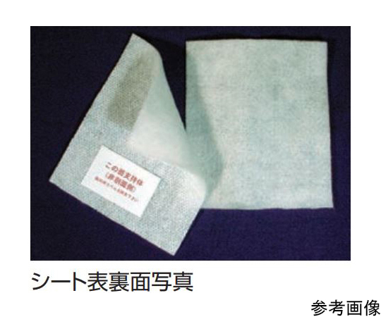 65-1682-40 ベスキチン®W（SP） BC-W-SP-L 5枚入 40806 【AXEL