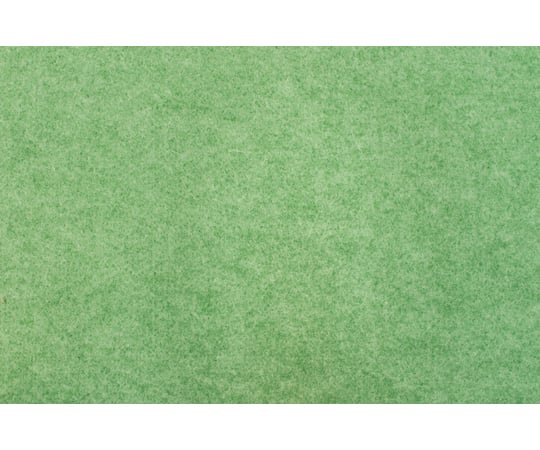 65-1700-05 キュートリー 消臭マット 650×2400mm グリーン
