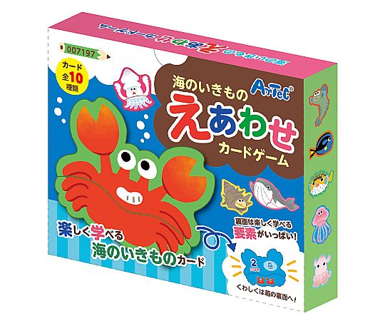 65 18 18 海のいきものえあわせカードゲーム 7197 Axel アズワン 65 18 18 海のいきものえあわせカードゲーム 7197 Axel アズワン