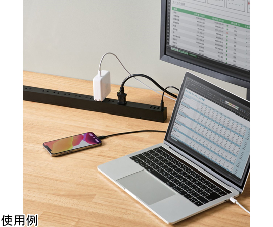 電源タップ　USBタップ　ホコリ防止シャッター付　固定可能　10口　合計24W　USB-Aメス4ポート　ブラック ECT-1925BK