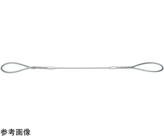 65-1865-40 玉掛ワイヤー 200mm 1120kg 5m SPW12-50 【AXEL
