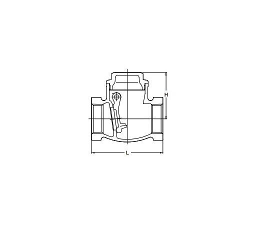 65-2127-39 スイングチャッキバルブ（青銅製） 2・1/2