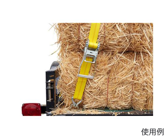 荷締機（ラチェット式/ロングハンドル） 1500kg/50mm×12m　EA982BC-22