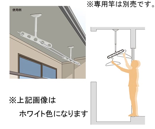 65-2492-24 ホスクリーン 軒天用 屋外物干し金物 ダークブロンズ 2本入