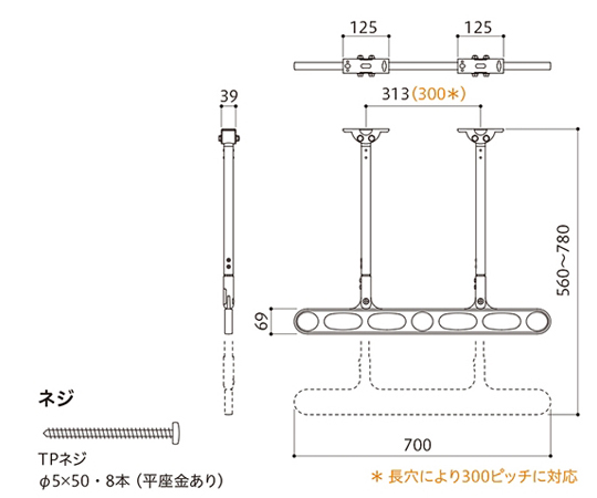 65-2492-91 ホスクリーン 軒天用 屋外物干し金物 ライトブロンズ 2本入