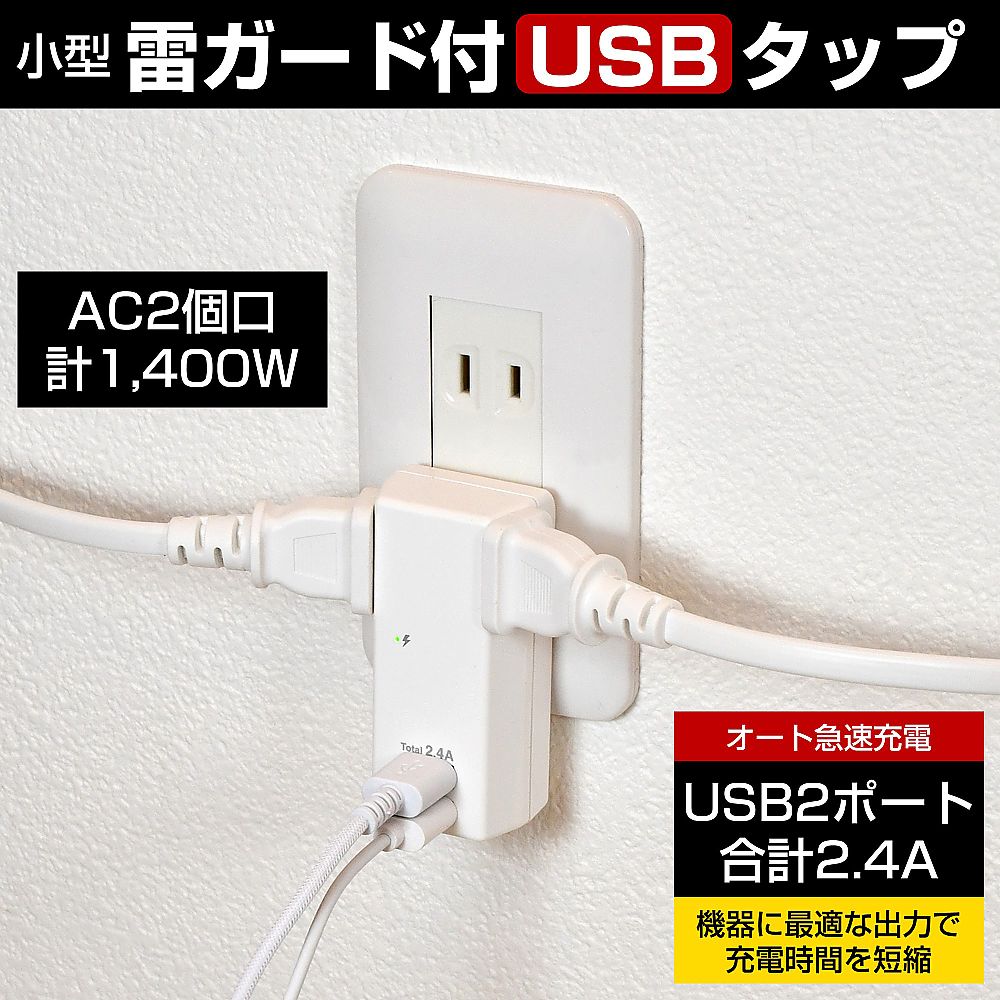 65-2494-35 耐雷USBタップ2個口2ポート2.4A UA-222SL 【AXEL】 アズワン