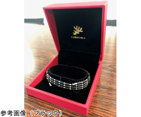 取扱を終了した商品です］コアフォースループ ホワイトゴールド