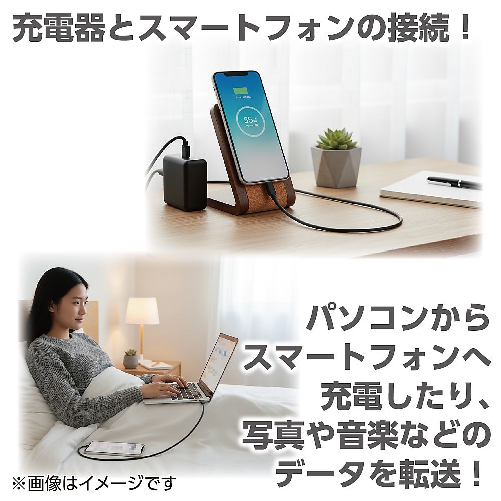65-2743-71 USBケーブル（1m）（USB2.0 A-Type C） 91736 【AXEL