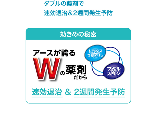 おすだけコバエアーススプレー 60回分 13.2mL