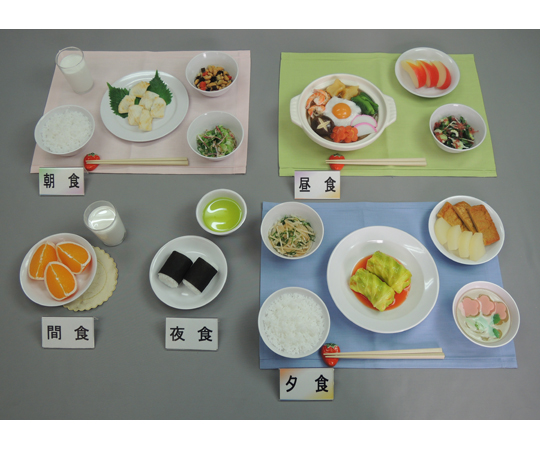 慢性肝炎（体重60kg） 1式セット （磁石なし）　66