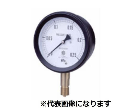 第一計器製作所 MPPプラ密閉型圧力計 要部SUS B型 φ100 G1/2 0～0.6MPA