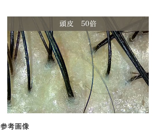 65-3730-48 ワイヤレスマイクロスコープ 50倍 3R-WMBTEG50 【AXEL