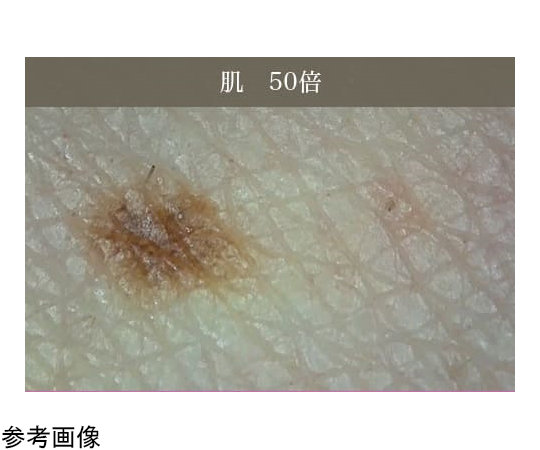 65-3730-48 ワイヤレスマイクロスコープ 50倍 3R-WMBTEG50 【AXEL 