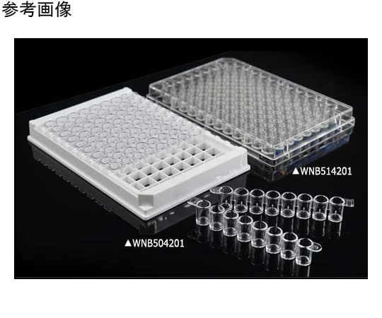 2542.　レア品　！！　1902年　アメリカ　ドレープバスト　ラージセント 送料無料 正規品 ムーンアイズ トランスポーター ラバートレイ