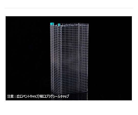 ヌベスコ Zizi オックスフォードシューズ - Men｜メンズ | シューズ