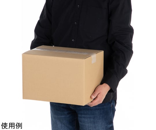 65-3905-25 段ボール 80サイズ 20枚入 01150081 【AXEL】 アズワン