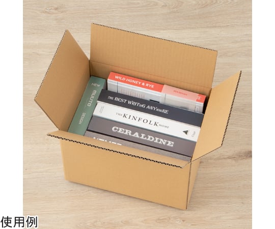 65-3905-25 段ボール 80サイズ 20枚入 01150081 【AXEL】 アズワン