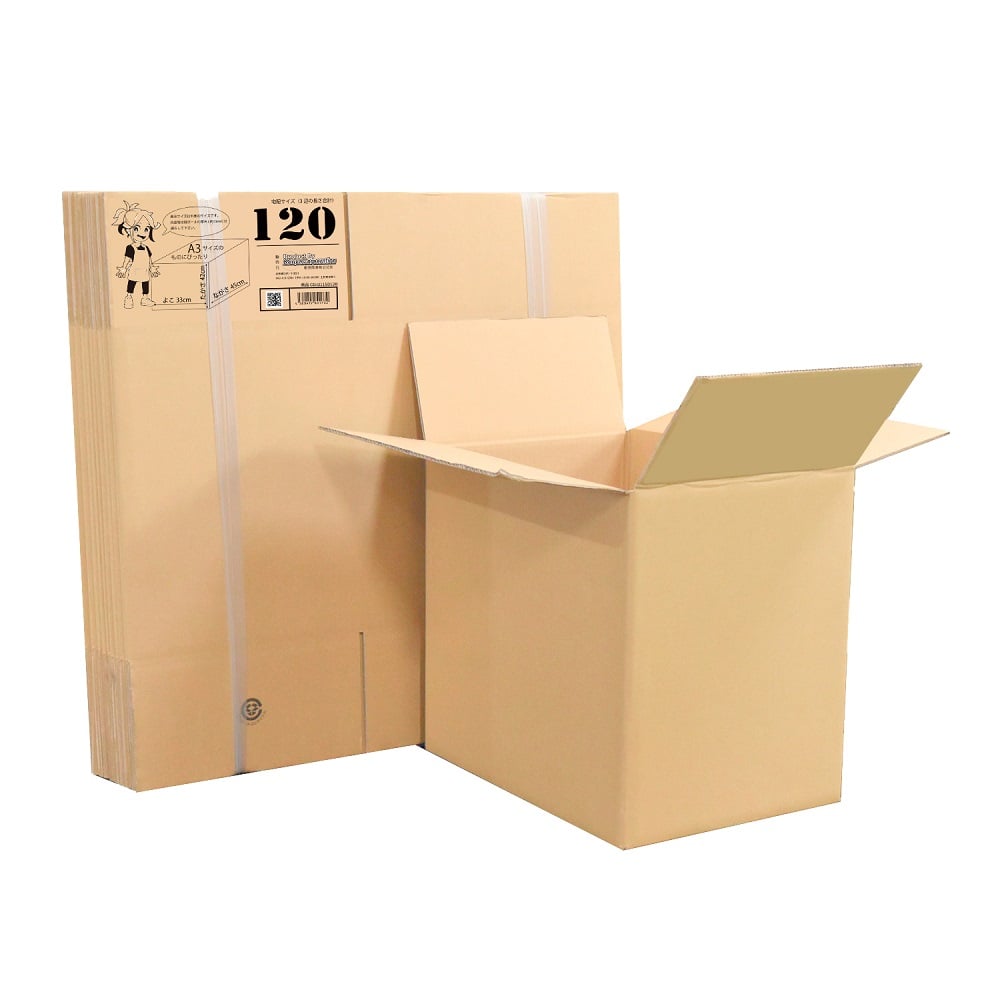 65-3905-25 段ボール 80サイズ 20枚入 01150081 【AXEL】 アズワン